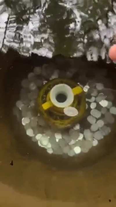 Mucha suerte para est&aacute; semana