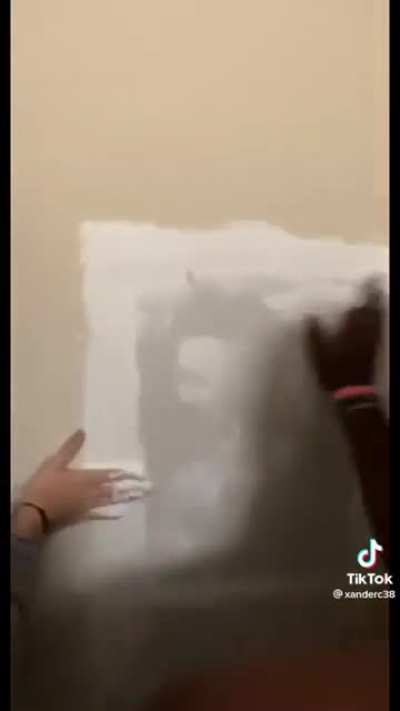 The boys do some unexpected drywall work!