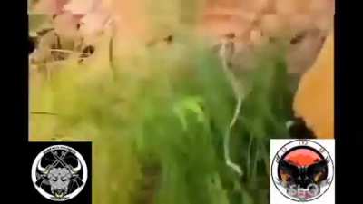 Buffalo Soldiers Freedom Force (a Myanmar anti-Junta militia) ambush an Army Column in Shwebo, Sagaing Region with an IED and Gunfire for 15 Minutes. Three Soldiers Dead (May 17th)