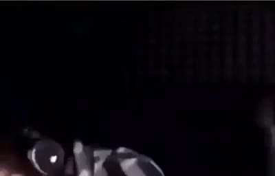 Was there a fly in his room?-
