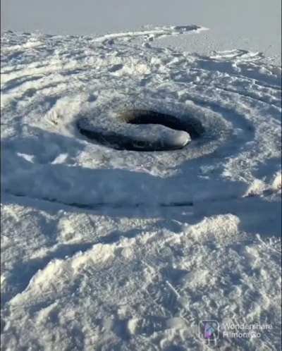 Maybe maybe maybe