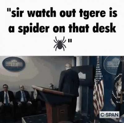 spider