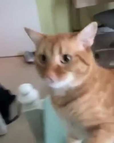 When you can&rsquo;t take what you give