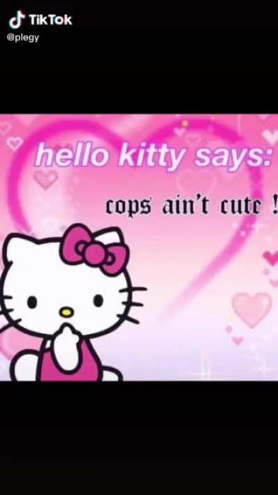 What are your thoughts on people who use Hello Kitty and Sanrio characters as a form of activism like &ldquo;Hello Kitty says ACAB&rdquo; &ldquo;Hello Kitty says BLM&rdquo;?