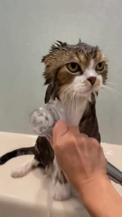 "Ну Коть, только не злись....."