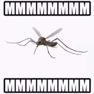 MMMMMMMMMMMMMMMMMMMMMMMMMMMMMMMMMMMMMMMMMMMMMMM