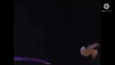 Micky Mouse Dies