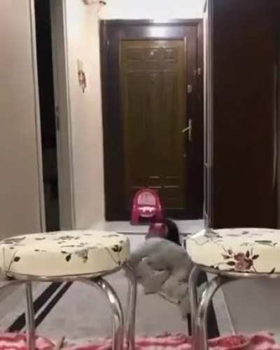 &ldquo;Wonderful, the mind of a child is.&rdquo;