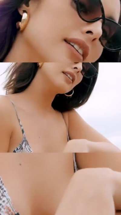 Max Collins