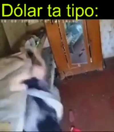 Apenas