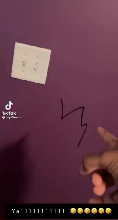 technically followed instructions