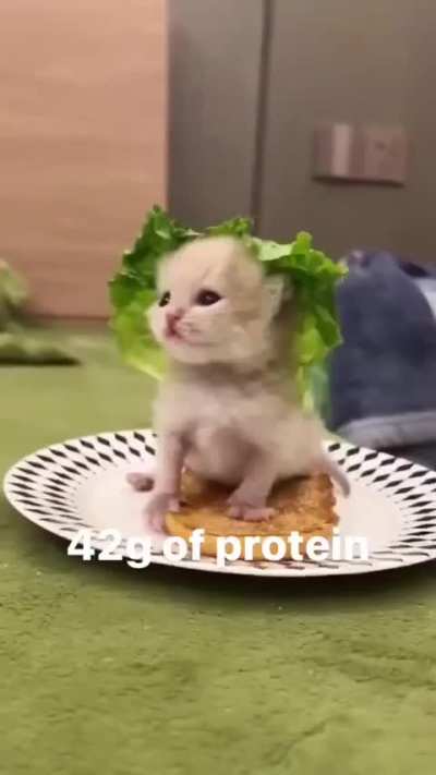 wunky meal
