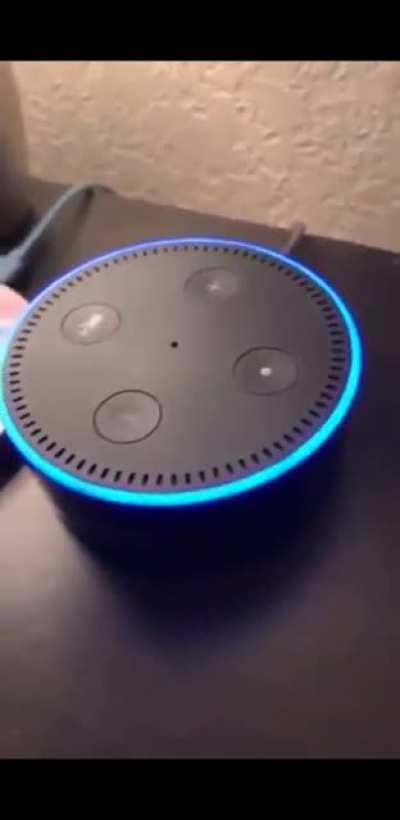Alexa pedo