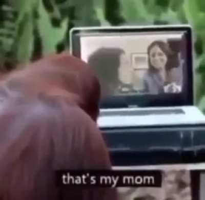 Stinky monk&eacute;