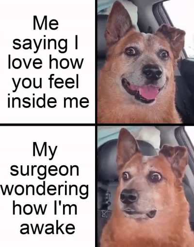 Don&rsquo;t kink shame me