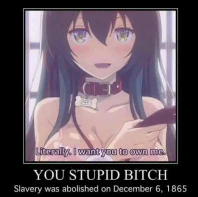 STUPID BITC*