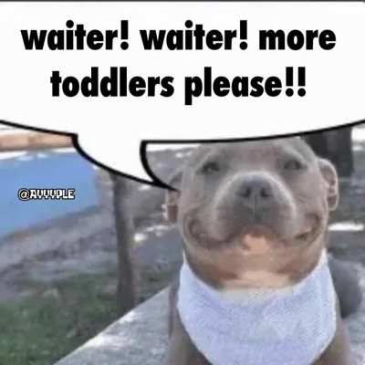 What a polite young man 😊. Hopefully he doesn&rsquo;t bite ☺️.