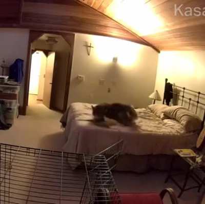 &ldquo;I couldn't figure out how my bed kept getting unmade while I was making coffee until I put up a camera.&rdquo;