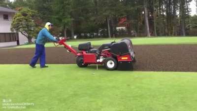 Instant lawn in Japan