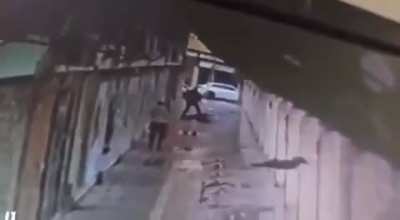 Palestinian man attacks and kills 83 year old Israeli women. 