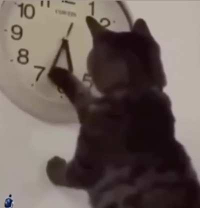 It's my dinner time already !!