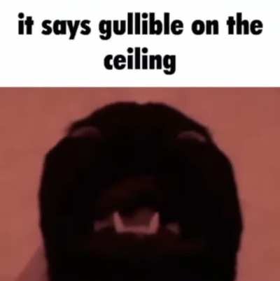 Fuck