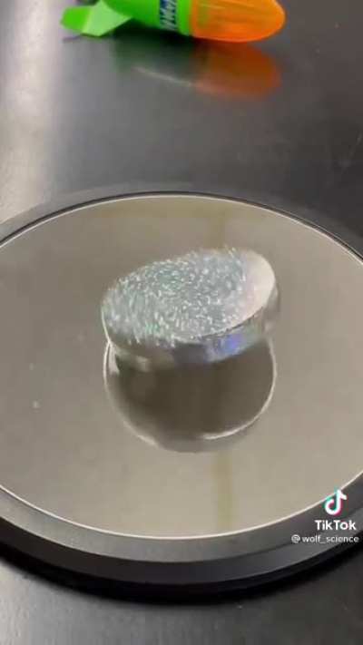 Euler&rsquo;s Disk