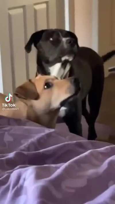 Where do you think you&rsquo;re going?