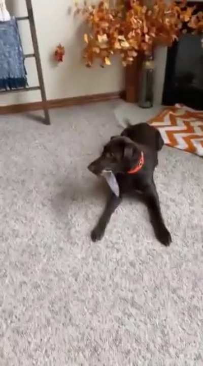 WINSTON!!!!