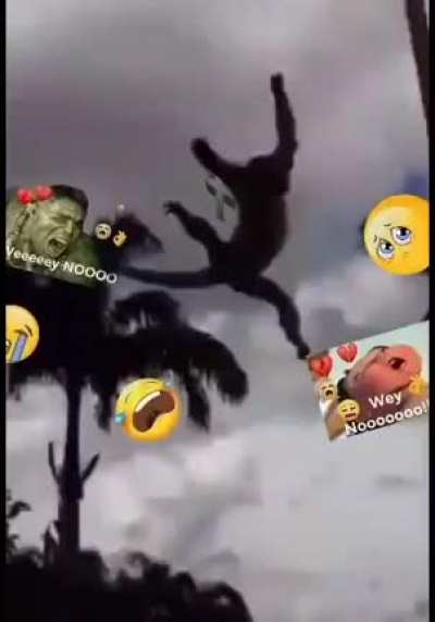 Macakinho