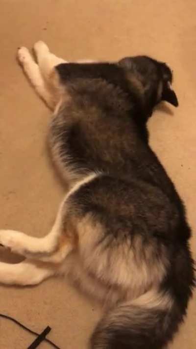Stretchy time