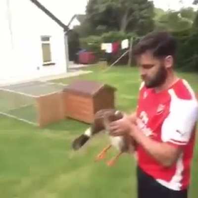 Shit, duck!