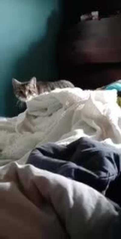Wait for it...