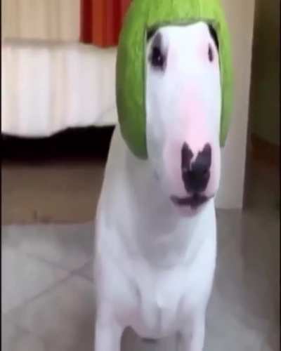 Walter melón