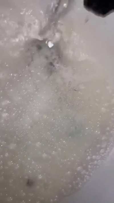 Getting them pristine