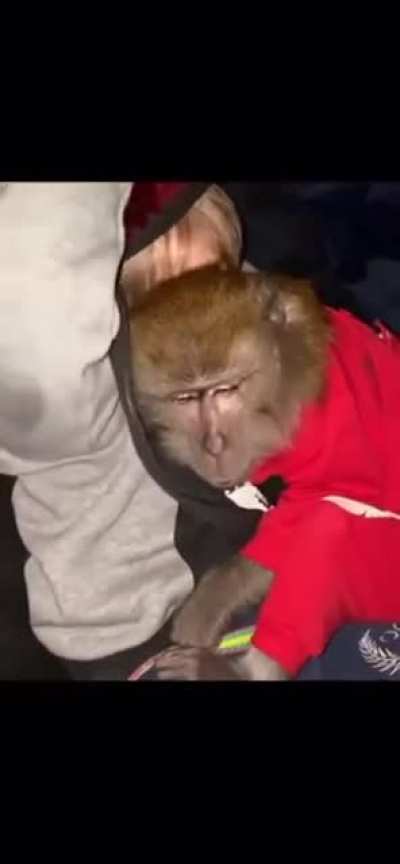 JUST HASBULLAH CHILLING WITH HIS MONK&Egrave;