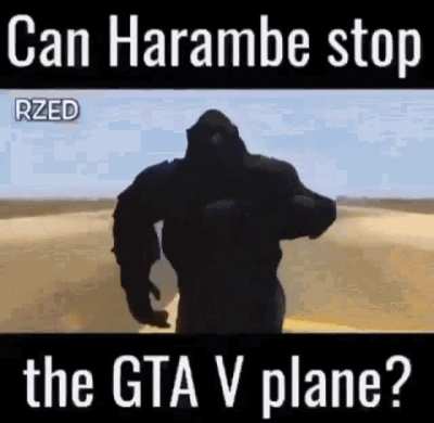 No he can&rsquo;t