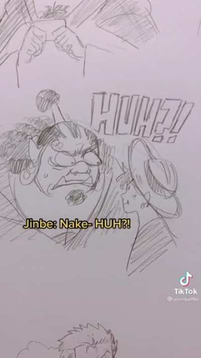 credi:alienbottle - >tik tok strawhats feud