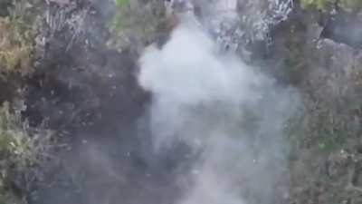 Russian soldier head buts Ukrainian fpv in a forest 