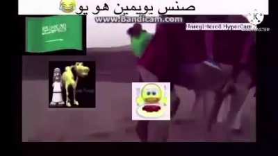 epick camel دسىثكًfail!!!😂😂🐪