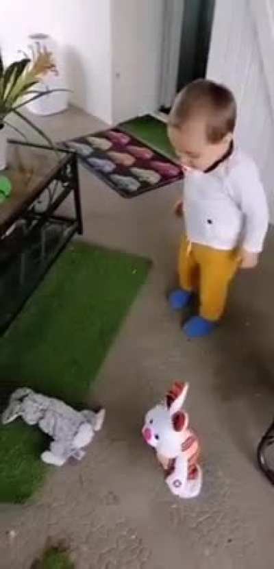 cursed_rabbit