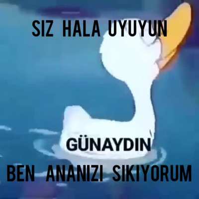 G&Uuml;NAYDIN KEYCİBİ HULKİ