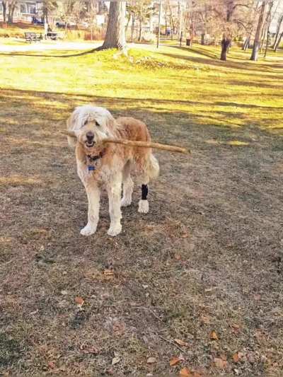 Happy big stick Saturday. 🙂