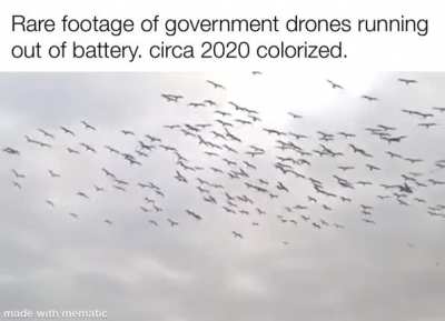 Birds aren&rsquo;t real