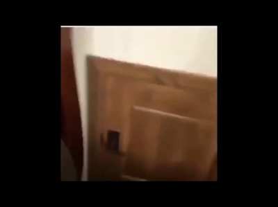 creepy screech cut