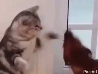 And it&rsquo;s Kitty Tyson!