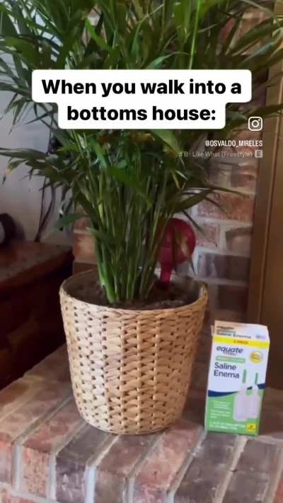 gay🌿irl