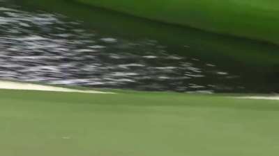Greatest Golf Shot Ever