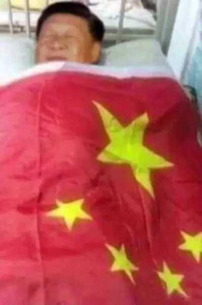 What is Xi dreaming about