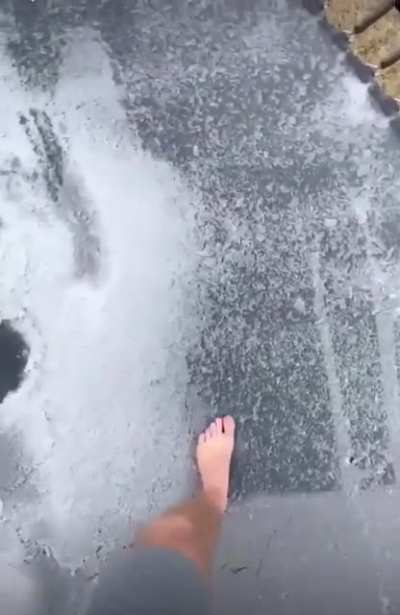 The Tramcoldine